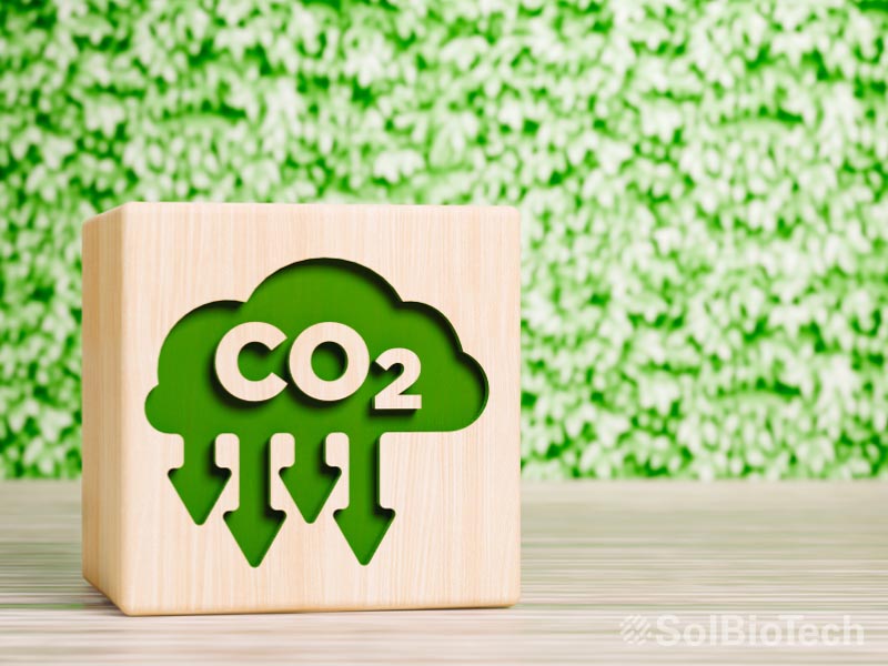 CO2 produit ekolive SolBioTech Francemeilleure structure racinaire