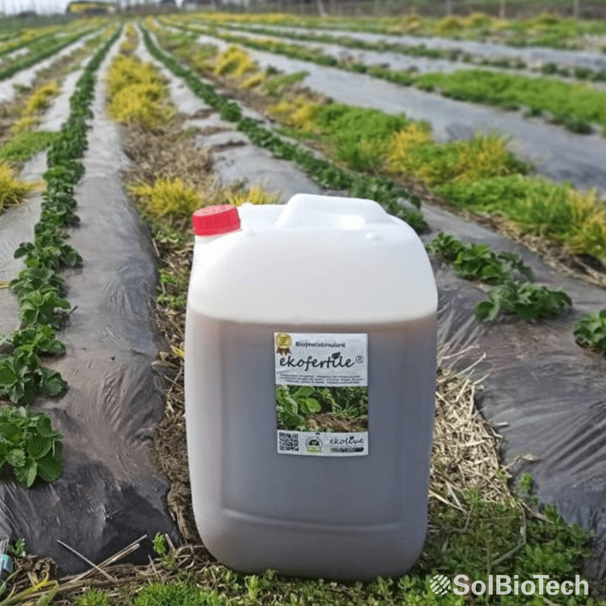 ekofertile ekolive produit SolBioTech France