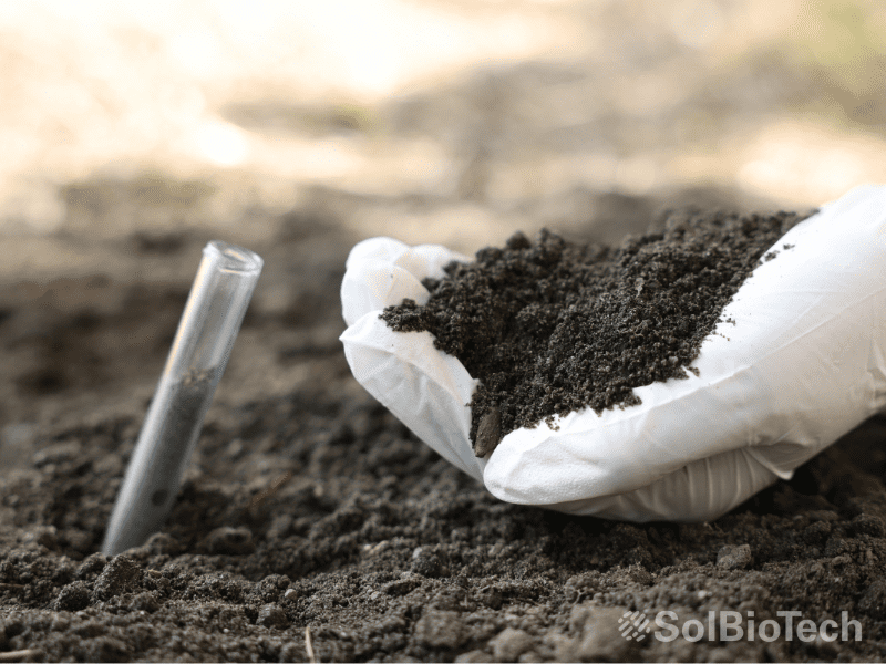 qualité du sol microfertile produit ekolive SolBioTech Francemeilleure structure racinaire