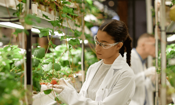 solbiotech france ekolive études de terrain